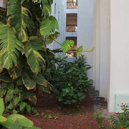 Apartamento En Tenerife Sur, Parque Santiago 2 Arona  Exterior photo