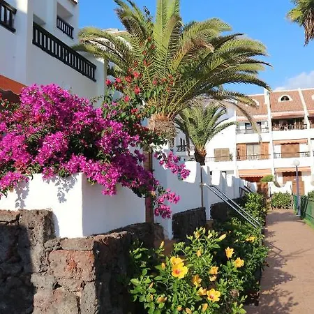Apartamento En Tenerife Sur, Parque Santiago 2 Arona  Exterior photo